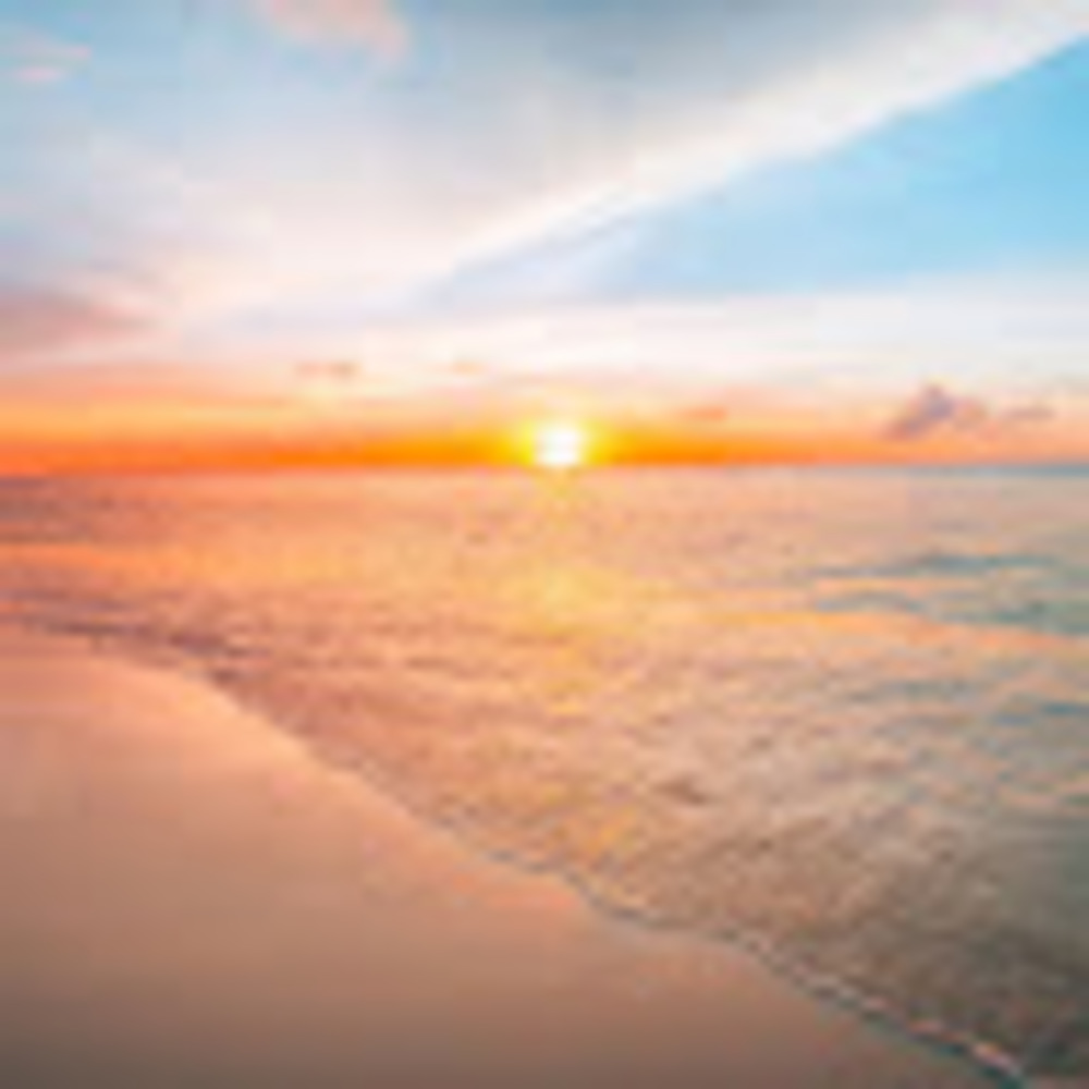 Meet your Posher, Willian j